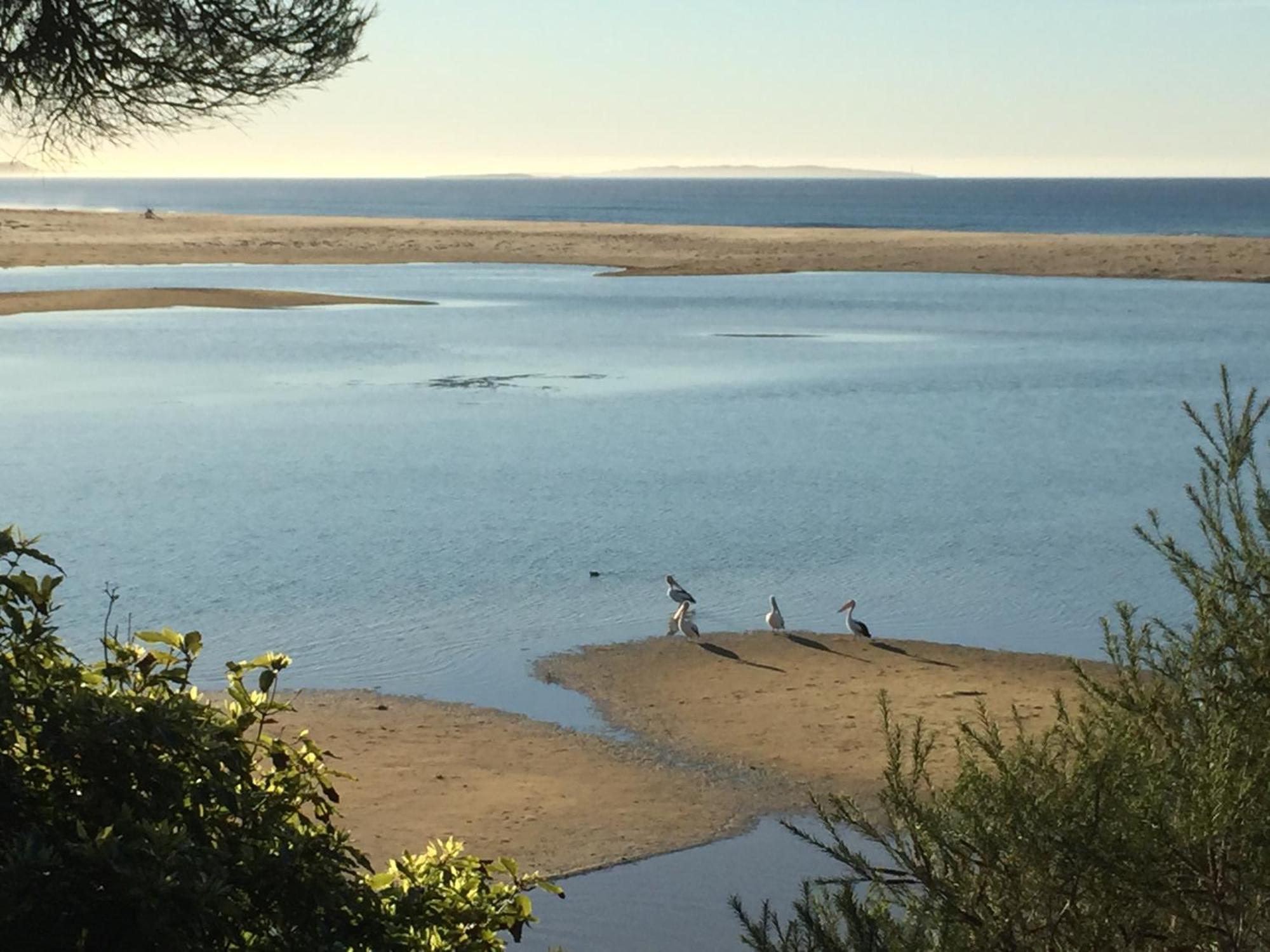 Beachcomber Caravan Park Mallacoota Zewnętrze zdjęcie